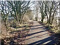 New surface, Strathkelvin Railway Walk