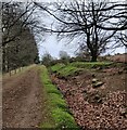 Earthworks along the Shropshire Way