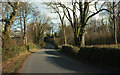 Road past Storridge Court Farm