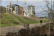 TQ3277 : New-build flats overlooking the western end of Burgess Park by David Martin