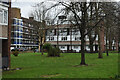 Cowley Estate: beside the Brixton Road