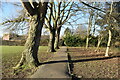 Path in Staines Park