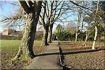 TQ0470 : Path in Staines Park by David Martin