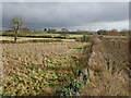 Staffordshire farmland west of Codsall