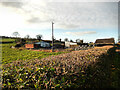 S3773 : Hedgerow and Buildings by kevin higgins