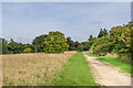 Towards Castle Hill Country Park