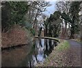 Staffordshire and Worcestershire Canal near Wolverley