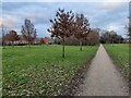 Path across Springfield Park, Kidderminster