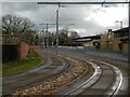 Tramlines, Science Road, University of Nottingham