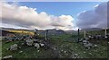 Gated Pasture above Abergwyngregyn