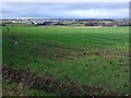 Farmland at Newlands Farm