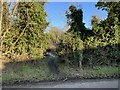 Footpath to Brown Candover