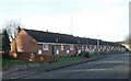 Bungalows on Alderson Court