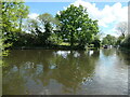 Staffs & Worcs winding hole, between bridges 71 & 70