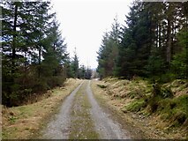 NN5305 : Road, Achray Forest by Richard Webb