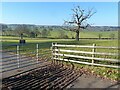 Parallel lines: gate, fence and cattle grid near Llandenny