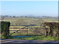 Gate to a field, with distant view of Ysgyryd Fwr - the Skirrid, Llandenny Walks