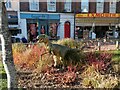 The Dinosaur Enclosure, The Strand, Exmouth (3)