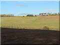 Newly ploughed field at Trabrown