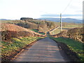 NT7731 : A road near Greenhead by Richard Webb