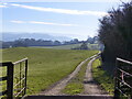 Track across a field, seen from Ty-Freeman Road, Gwehelog