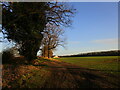 Farm track and Upton Grove Farm