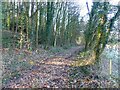 Track leading to The Roughets, Howick, Chepstow