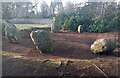 Druids Park Stone Circle