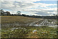 Muddy farmland