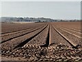 Ploughed farmland on the edge of the Ferndale estate