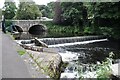 The Weir, Tavistock