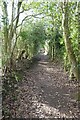 Footpath at Ruardean