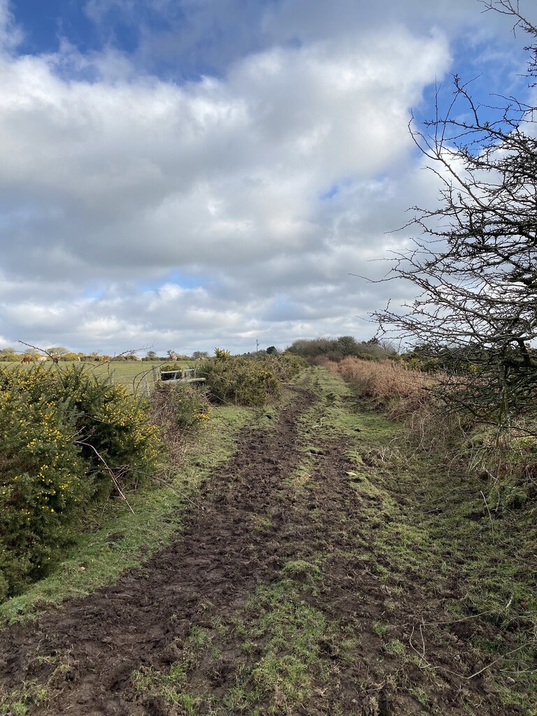 Heavily poached bridleway © Alan Hughes cc-by-sa/2.0 :: Geograph ...