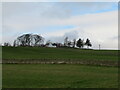 Pasture fields at Calfhill