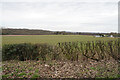 Looking towards Blackbrook Farm