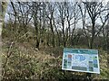 Portfield Gate Community Woodland