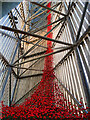 SJ8097 : Poppies - Imperial War Museum North by David Dixon