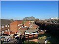 Houses in Curly Bridge Close