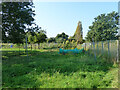 Bradstone Brook Allotments