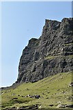 NG4954 : The Storr by N Chadwick