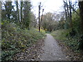 Harborne Walkway, Edgbaston (3)