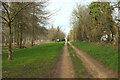 Track, Brighthill Wood