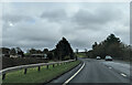 On the A35 south of Axminster, heading east