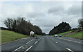 On the A35, heading east passing a layby