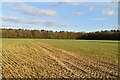 Footpath across field