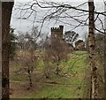 Castle in Hagley Park