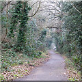 Footpath near Parkeston Cemetery, Harwich