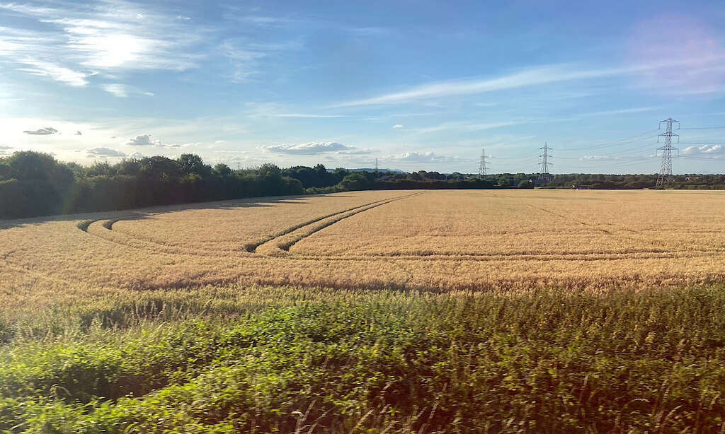 Power lines and tramlines by Elmbridge,... © Robin Stott cc-by-sa/2.0 ...