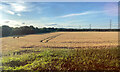 Power lines and tramlines by Elmbridge, Gloucester