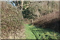 Footpath meets bridleway at waymarker